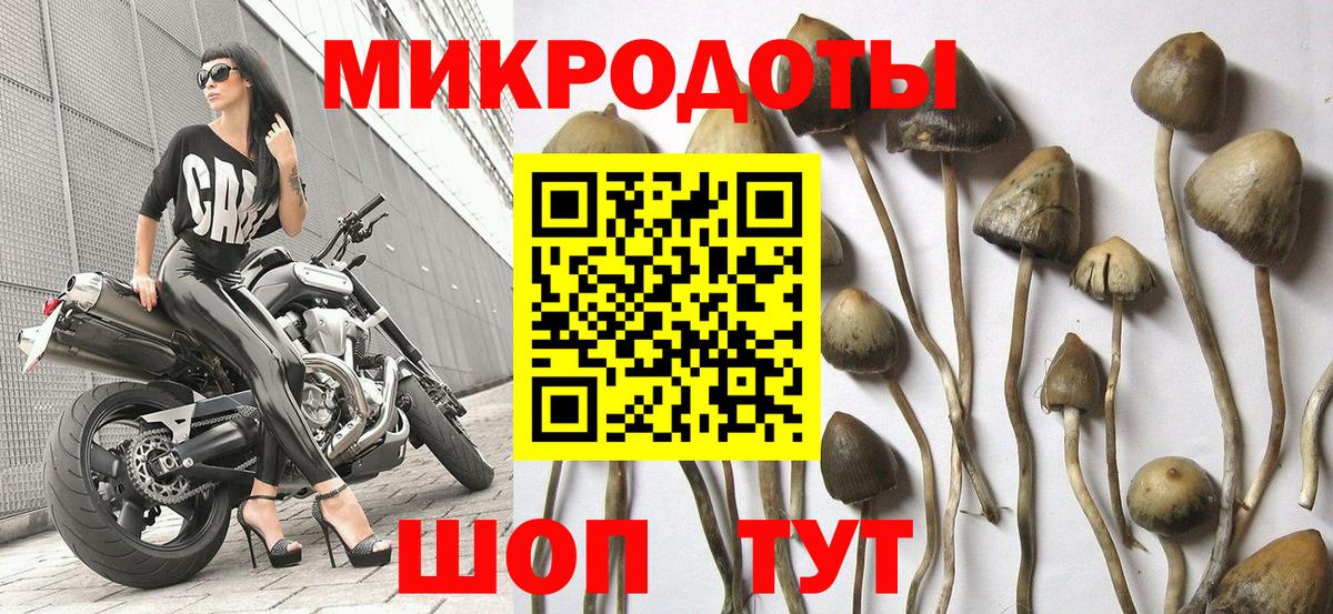 Галлюциногенные грибы ЛСД Унеча