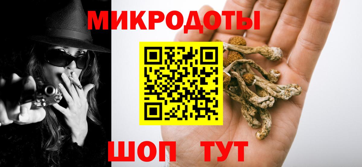 Унеча  Галлюциногенные грибы мицелий  Вход с VPN 